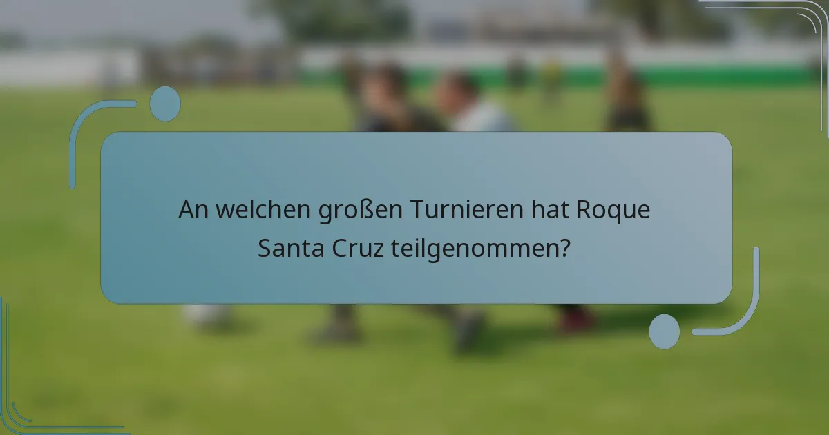 An welchen großen Turnieren hat Roque Santa Cruz teilgenommen?