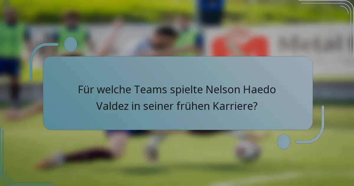 Für welche Teams spielte Nelson Haedo Valdez in seiner frühen Karriere?