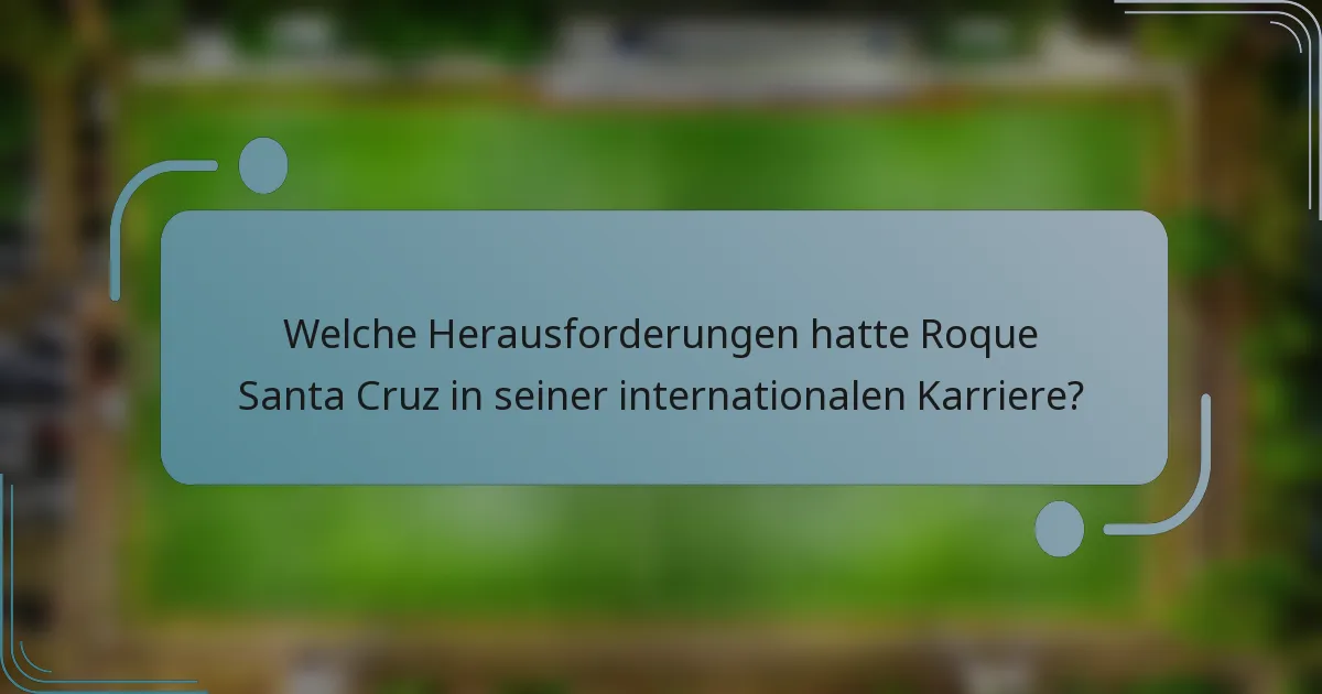 Welche Herausforderungen hatte Roque Santa Cruz in seiner internationalen Karriere?