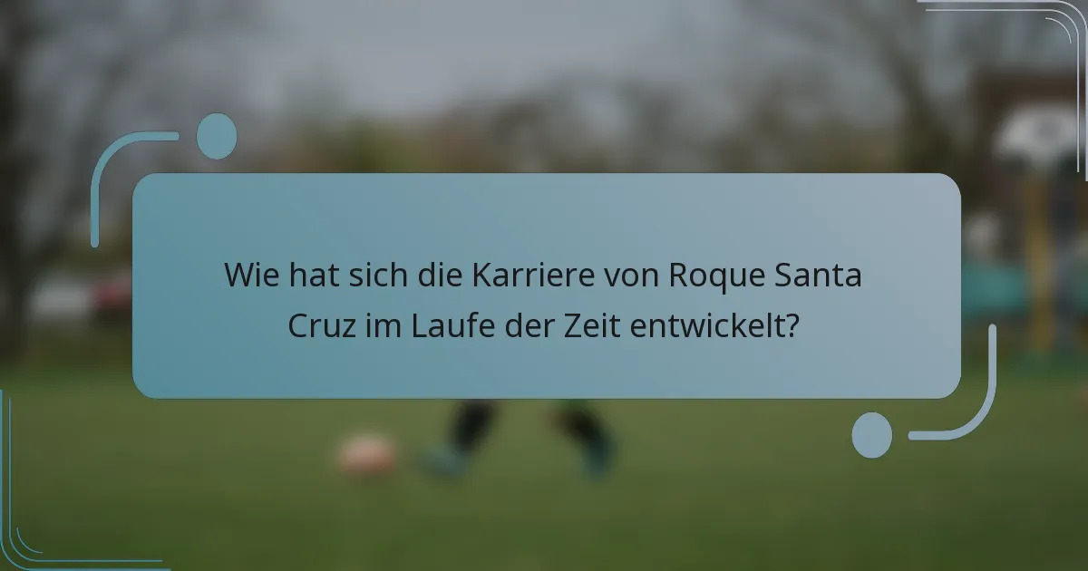 Wie hat sich die Karriere von Roque Santa Cruz im Laufe der Zeit entwickelt?